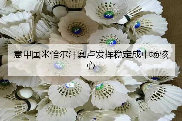 yi-jia-guo-mi-qia-er-han-ao-lu-fa-hui-wen-ding-cheng-zhong-chang-he-xin-3-416.jpg