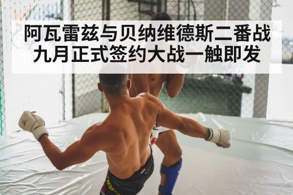阿瓦雷兹与贝纳维德斯二番战九月正式签约大战一触即发